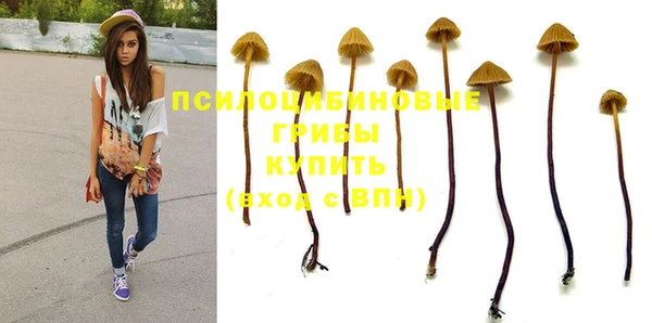 а пвп мука Балахна