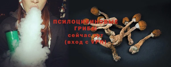 ECSTASY Баксан