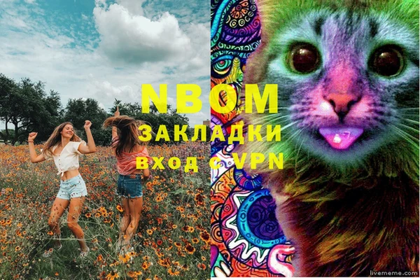 ECSTASY Баксан
