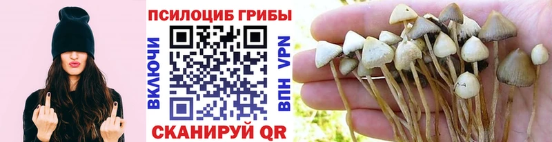 Галлюциногенные грибы мицелий  Черепаново 